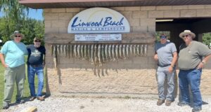 522647591_1337070041364239_1558441326480400423_n